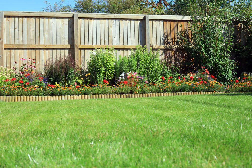 A Budget-Friendly Way to Refresh Your Fence